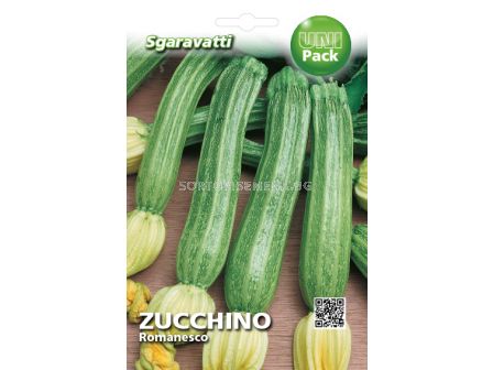 Семена Тиквички (Zucchini) Romanesco`SG