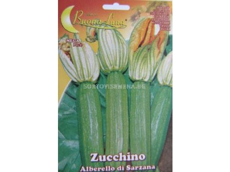 Семена тиквички Тънки - zucchini thin