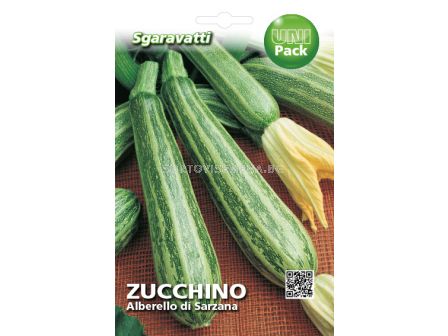 Семена тиквички Тънки`SG - zucchini Thin`SG