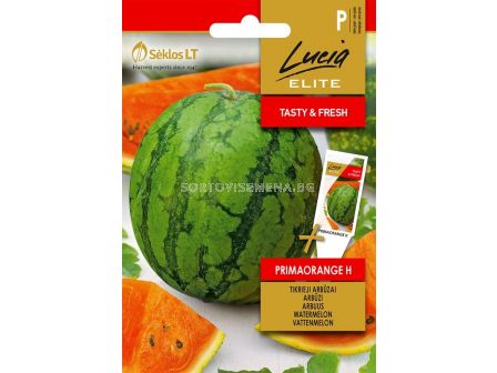 Семена Диня Примаоранж /PRIMAORANGE/ 'SK-1 оп 1 гр