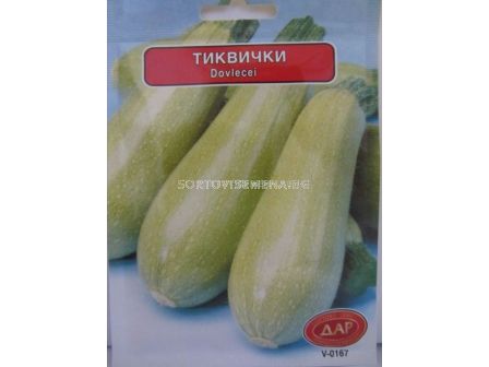 СЕМЕНА ТИКВИЧКИ ИЗОБИЛНА (5г) - 10 броя