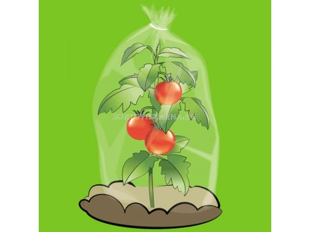 Plantina Покритие за домати 5м  - 1