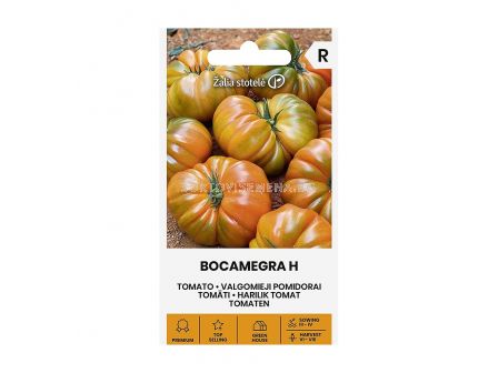 СЕМЕНА ДОМАТИ БОКАМЕГРА Х TOMATO BOCAMEGRA H - СК  - 4