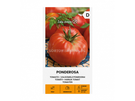 СК  СЕМЕНА ДОМАТИ ПОНДЕРОСА TOMATO, PONDEROSA 