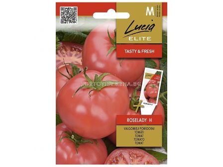 Семена домати РОУЗЛЕЙДИ Х TOMATO ROSELADY H  СК - 0,1 г