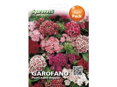 Семена Топ Карамфил кичест микс (нисък)`SG - Dianthus barbatus mix`SG