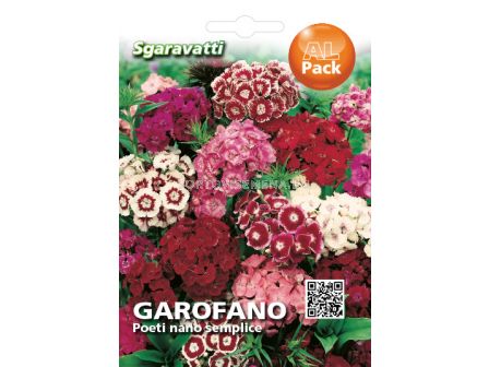 Семена Топ Карамфил обикновен микс (нисък)`SG - Dianthus barbatus mix`SG