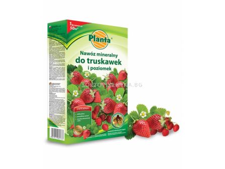 Тор за ягоди Planta