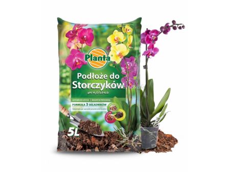 Торф за орхидеи 