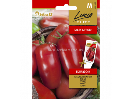 СК ДОМАТИ ЕДУАРДО Х TOMATO EDUARDO H - sortovisemena.bg СК ДОМАТИ ЕДУАРДО Х TOMATO EDUARDO H