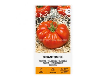 СК СЕМЕНА ДОМАТИ GIGANTOMO H  