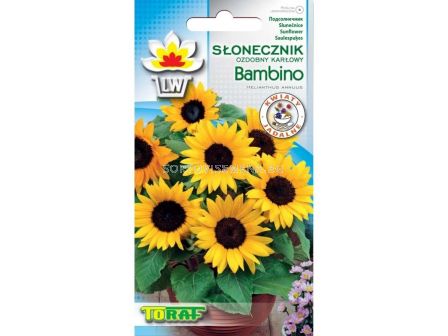 Декоративен слънчоглед / Bambino / TF - 2 гр - sortovisemena.bg Декоративен слънчоглед / Bambino / TF - 2 гр