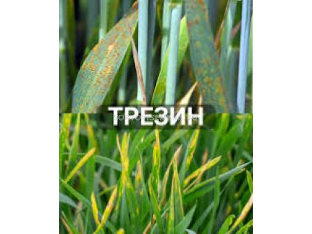 Трезин - 5 л