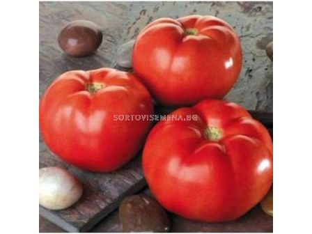 Семена Домат безколов RED BOUNTY F1 - 1000 сем