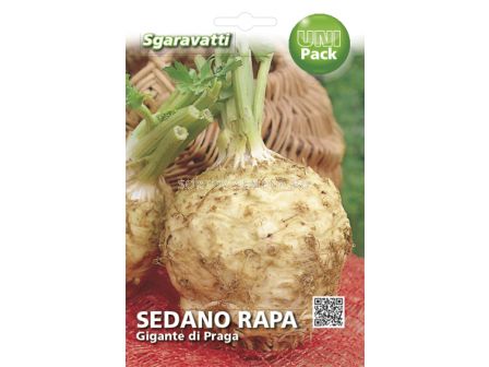 Семена целина глави`SG - celery `SG