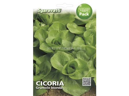 Семена Цикория (Chicory) Grumolo Bionda`SG