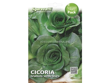 цикория Grumolo verde-scuro`SG