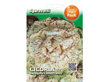 Семена Цикория (Chicory) Variegata`SG