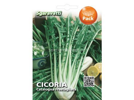 Семена Цикория (Chicory) Catalogna`SG