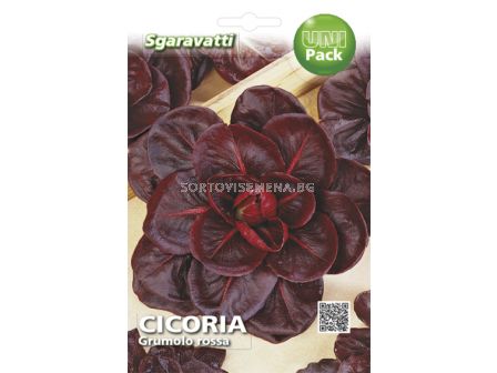 Семена Цикория (Chicory) Grumolo Rosso`SG