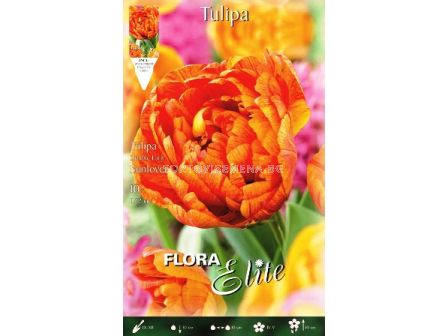 Лале (Tulip) Sunlover