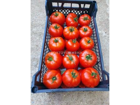 НОВО! Семена домати Варела F1 - Varela F1 - 500 бр. семена - 3