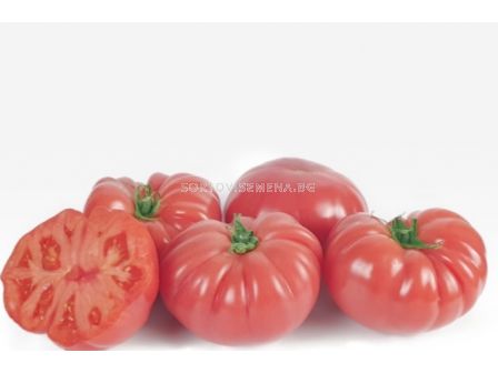 НОВО! Семена домати Вермиленза F1 - Розов - Vermilenza F1 - 500 бр. семена - 1