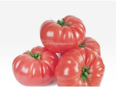 НОВО! Семена домати Вермиленза F1 - Розов - Vermilenza F1 - 500 бр. семена - 2