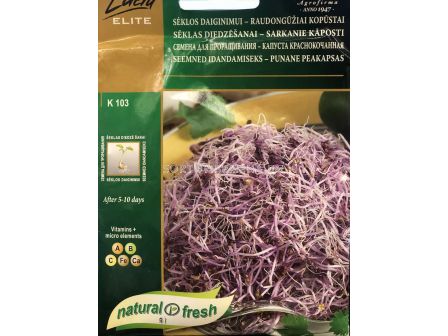 Семена за кълнове - червено зеле' SK