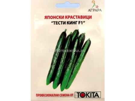 Семена краставици Тести Кинг F1 - cucumber Tasty King F1 - 3