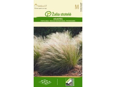 Семена Декоративно коило 'SK - 0,2 г