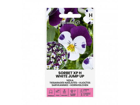СК СЕМЕНА ТЕМЕНУЖКА ДРЕБНА  ДЖЪМПЪП VIOLA SORBET XP H WHITE JUMP UP 