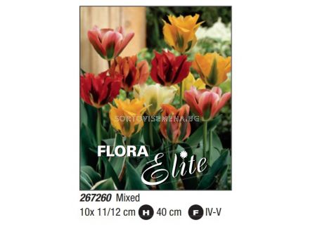 Лале viridiflora mixed - Пакет: 1 оп. - 10 бр.