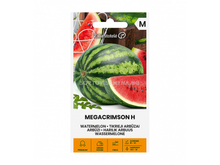 СК СЕМЕНА ДИНИ МЕГАКРИМСОН Х WATERMELON, MEGACRIMSON H  