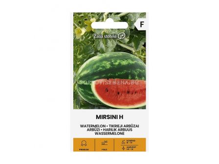 СЕМЕНА ДИНИ МИРСИНИ Х 10 С WATERMELON MIRSINI H СК 