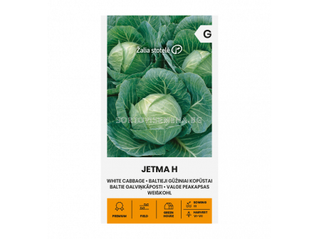 Семена ЗЕЛЕ ДЖЕТМА Х CABBAGE JETMA H - СК 