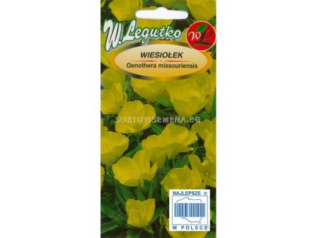 Енотера - жълта - Oenothera missouriensis (0.30g) -  Legutko - sortovisemena.bg Енотера - жълта - Oenothera missouriensis (0.30g) -  Legutko