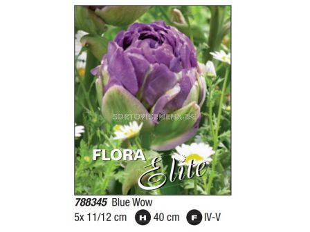 Лале/ Tulipa double late Blue Wow- Пакет: 1 оп. - 5 бр.