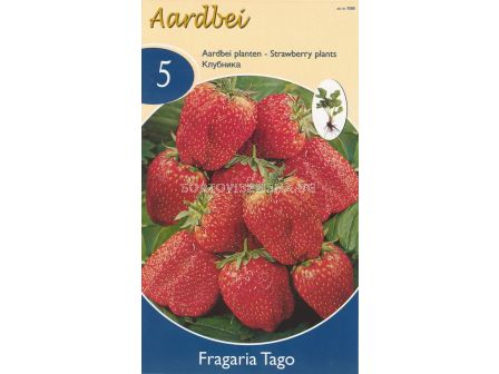 ягоди Tago - strawberry Tago