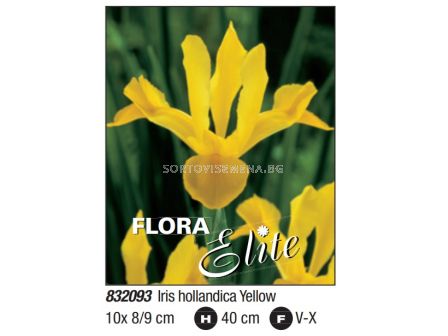 Ирис yellow - Пакет: 1 оп. - 10 бр. 