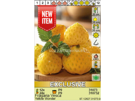 Ягоди Yellow Wonder/ Fragaria Vesca  - 1 брой