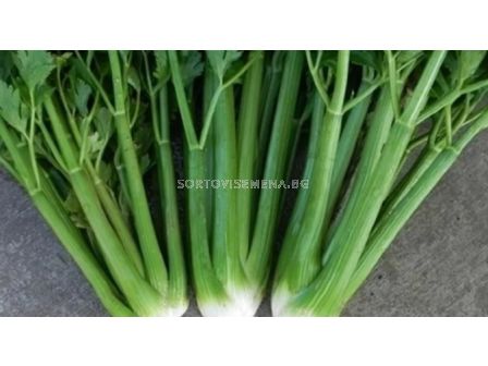 Семена Целина дръжкова YUTA - ESASEM - 1 000 сем (пелетирани)