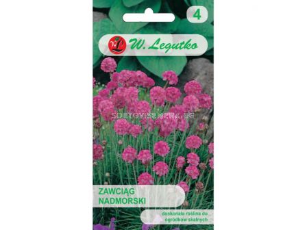 ЛГ АРМЕРИА РОЗОВА Armeria maritima pink