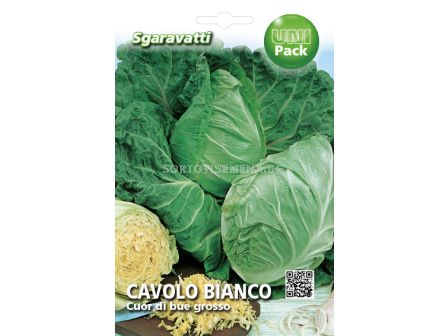 Семена зеле Сърцевидно`SG - cabbage Cuor di bue`SG 