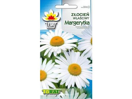 Хризантема Бяла маргарита - Chrysanthemum  leucanthemum - 1г