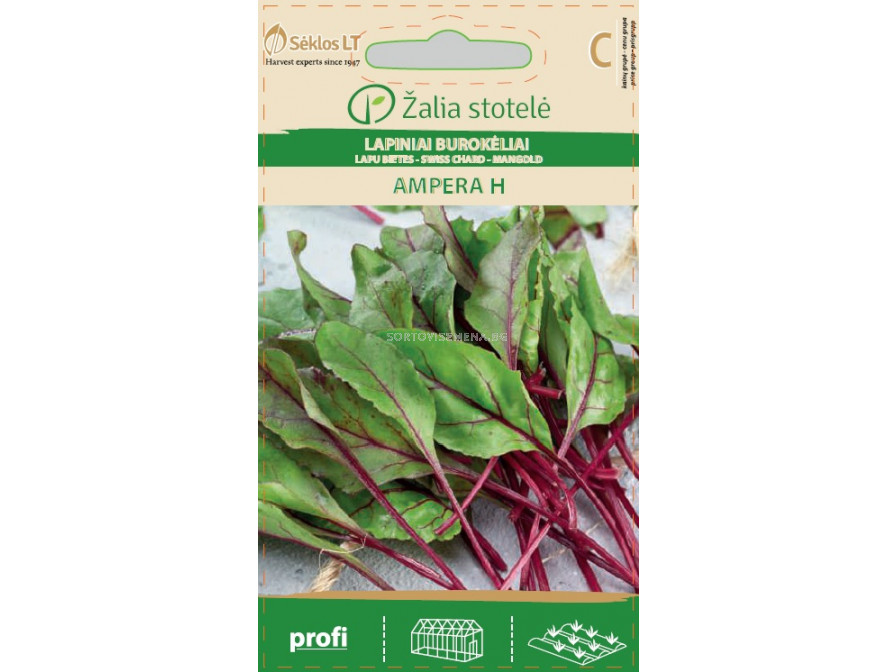 Семена Манголд Ампера (SWISS CHARD AMPERA) 'SK - Хибрид- 5 г | Салати и ...