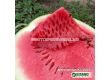 Семена Дини Кинби - Watermelon Kinbi (KS 160) F1  - 1t