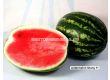 Семена Дини Шани F1 - Watermelon Shany F1- 100 семена - 3t