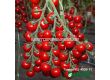 Семена Домати Итиро - Tomato Itiro (KS 4559)  F1  - 2t