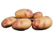 семе картофи Пикасо (Picaso) 25кг - 2t